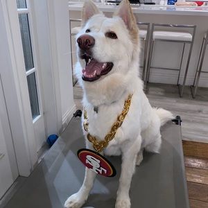 Meet your Posher, Haseeb